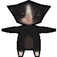 catspin