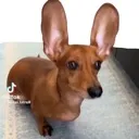 what