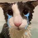 sogcry