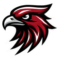 Hawks logo