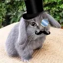Britishcabbit Britishcabbit