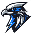 Thunderhawks logo