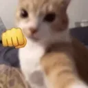 catto_punch