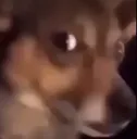 wow