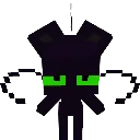 sus_plagg