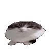 boing