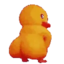 Duck Duck