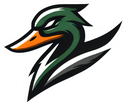 Ducks logo