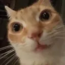 bro