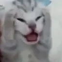 sob_pain sob_pain