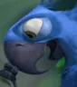 Blu_StupidStupidStupid Discord emoji