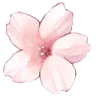 0004_pinkflower 0004_pinkflower