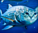 PescaoEC_XP Discord emoji