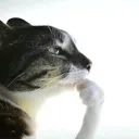 pondering