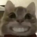 hehecat