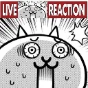 cat cat
