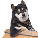 DA_cooldog Discord emoji