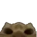 CatLurk