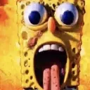 bob bob