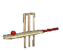 CFF_Cricket