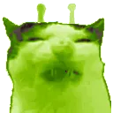 eww