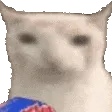 Meme70