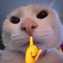 ChadShhh ChadShhh