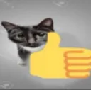 catthumbsup