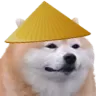 ChinaDog ChinaDog