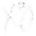 :XO4: