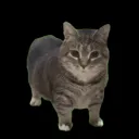 51121211121