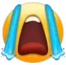 cry