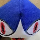 Rover_Watchingyouintensely