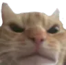 angry angry
