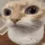 concerned