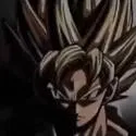 goku goku