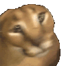 Flopper animated emote from 🛕𝗭𝗼𝗱𝗶𝗮𝗻 𝗘𝗺𝗽𝗶𝗿𝗲🛕