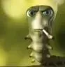 iseeyou iseeyou