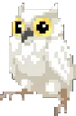 Owl_Dumb