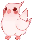 u8m_Bird