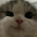 a_smirk Discord emoji