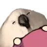 eggsleep