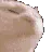 wonton