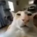 Guh