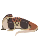 Cotylorhynchus