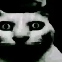 void_cat void_cat