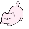 white_cat_wiggleq