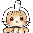 8_catwiggleC2U