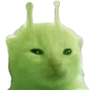 glorp glorp