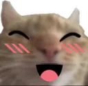 sshfkitty sshfkitty